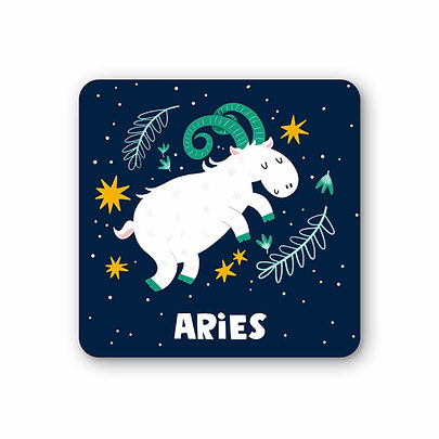 Aries Coaster