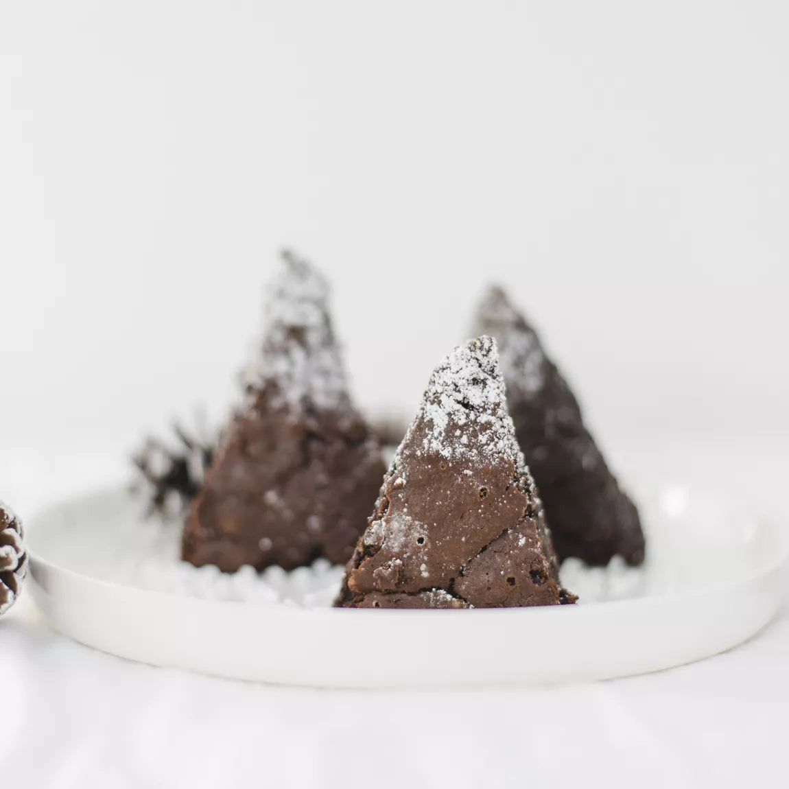 Winter Brownie Mixture