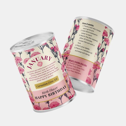 January Birth Flower - Grow Your Own Flower Gift
