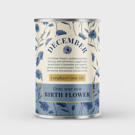 December Birth Flower - Grow Your Own Flower Gift