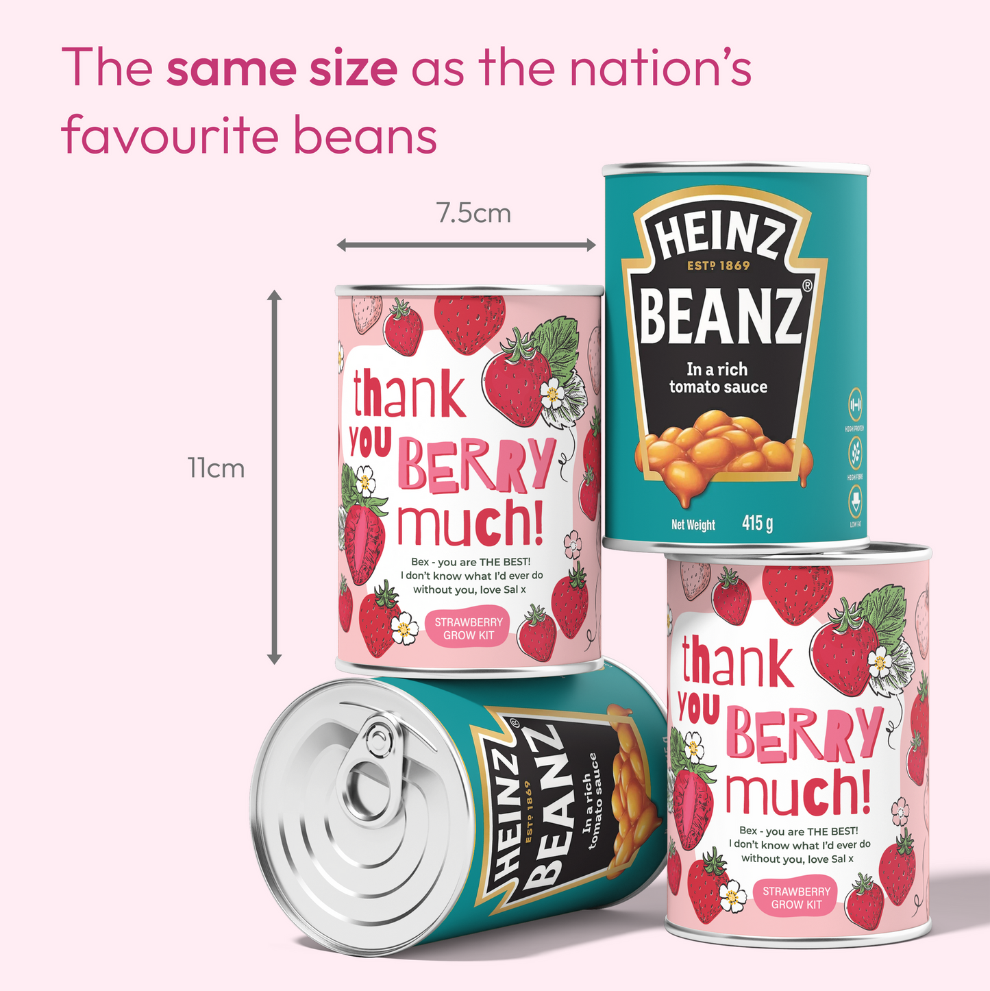 Thank You Berry Much Tin - Grow Your Own Berries | Personalise Me | Thank You Gift