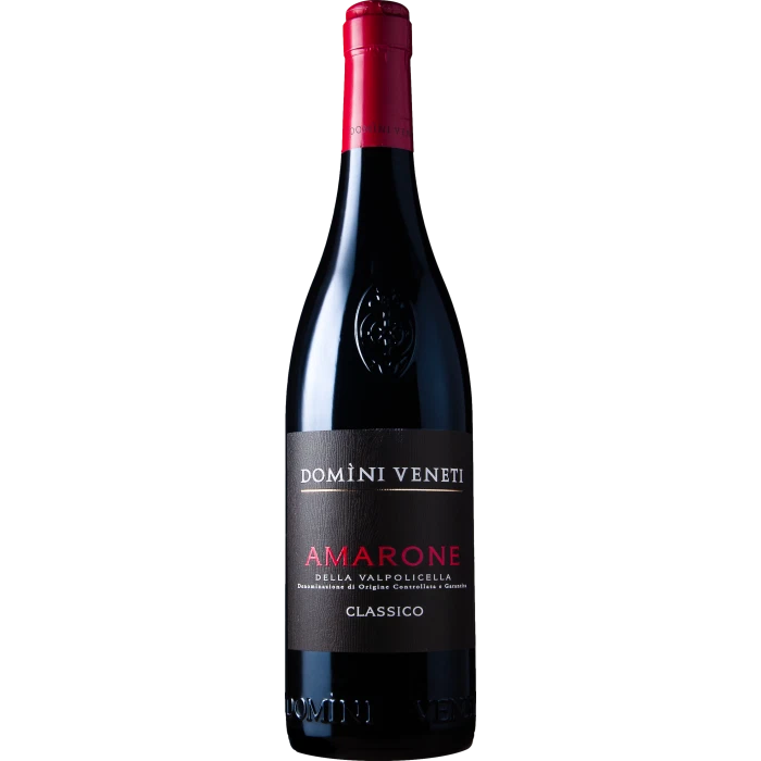 Domini Veneti Amarone Valpolicella