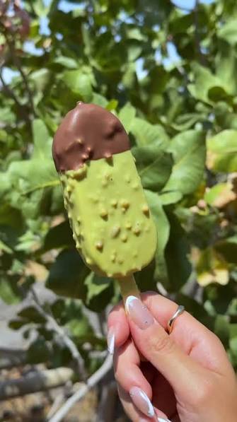 Magnum Signature Pistachio
