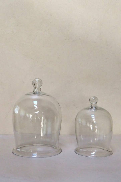Elegant Glass Dome Decorative Tabletop Object: Small