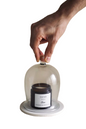 Elegant Glass Dome Decorative Tabletop Object: Small