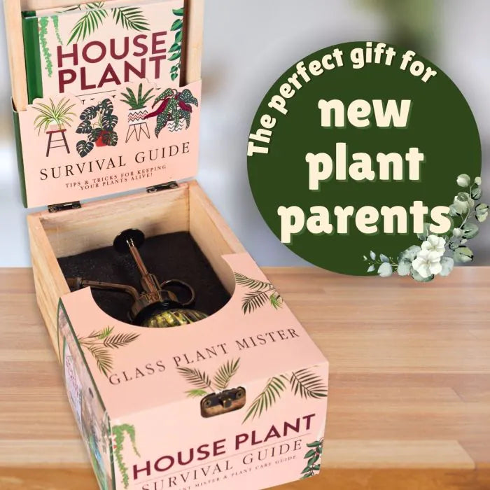 Houseplant Survival Set
