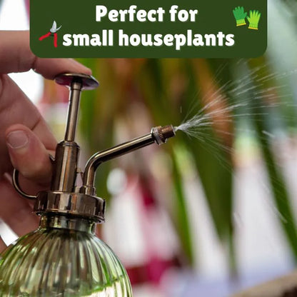 Houseplant Survival Set