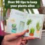 Houseplant Survival Set