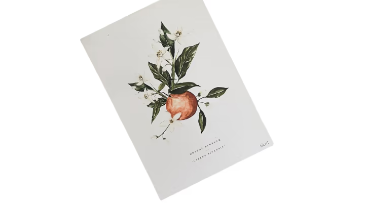 Karti Prints (Natura)