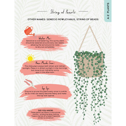 Please Don't Die - Houseplants Guide Book