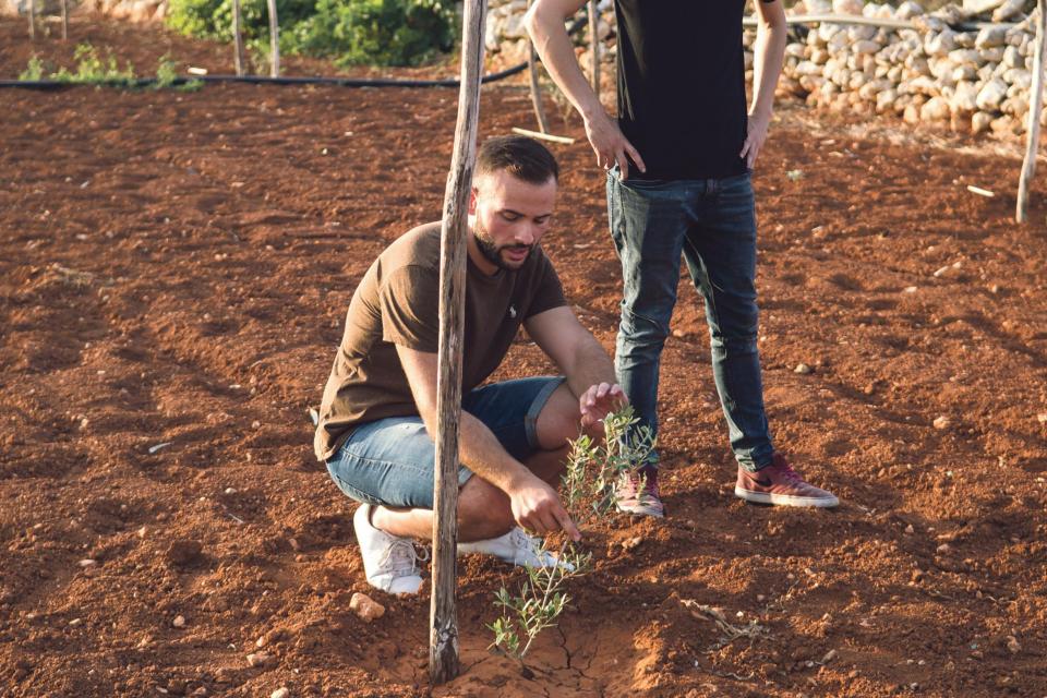 Olive Oil Dark Chocolate