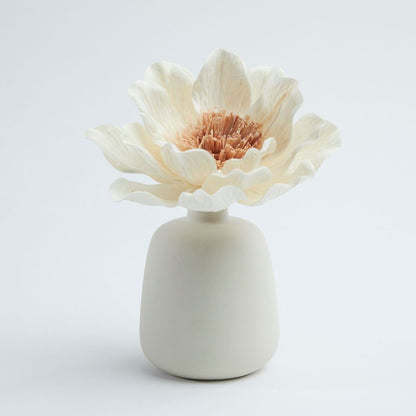 Flower Diffuser Lipsi CrŠme