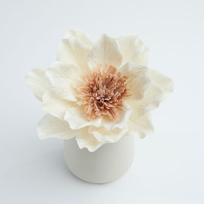 Flower Diffuser Lipsi Creme