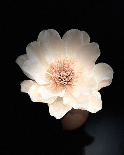 Flower Diffuser Lipsi Choco