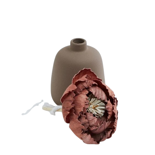 Flower Diffuser Corali Choco
