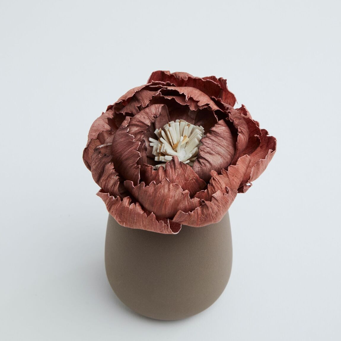 Flower Diffuser Corali Choco