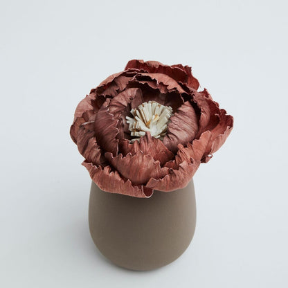 Flower Diffuser Corali Choco