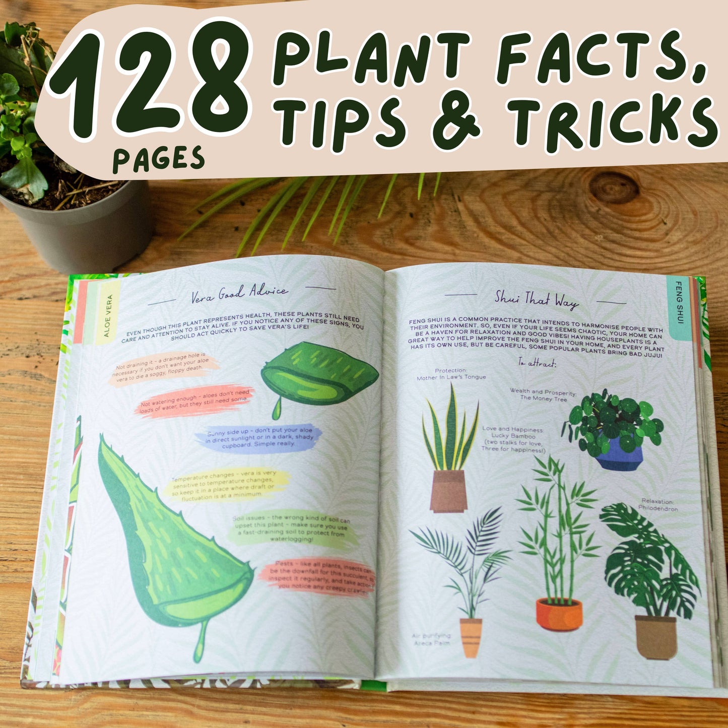 Please Don't Die - Houseplants Guide Book