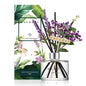 Cocodor Lavender Diffuser 200ml (6.7oz ) April Breeze Scent