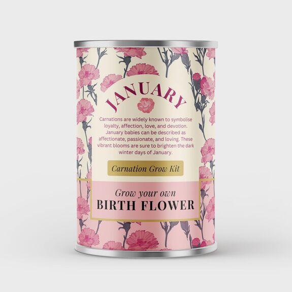 January Birth Flower - Grow Your Own Flower Gift