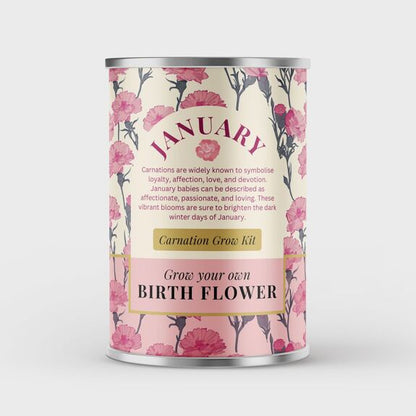 January Birth Flower - Grow Your Own Flower Gift