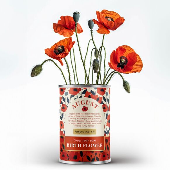 August Birth Flower - Grow Your Own Flower Gift