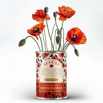 August Birth Flower - Grow Your Own Flower Gift