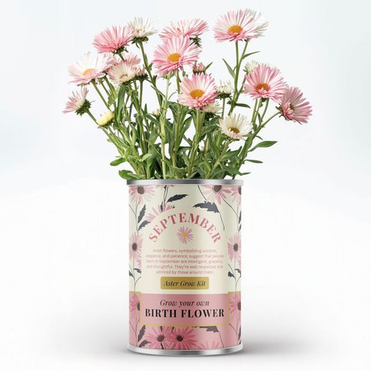 September Birth Flower - Grow Your Own Flower Gift