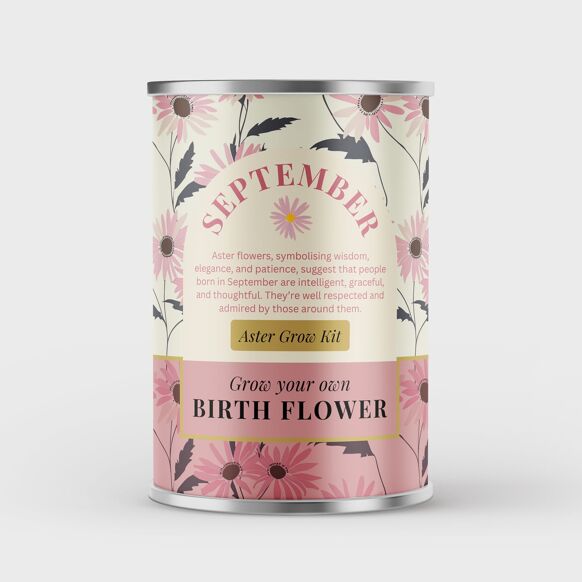 September Birth Flower - Grow Your Own Flower Gift