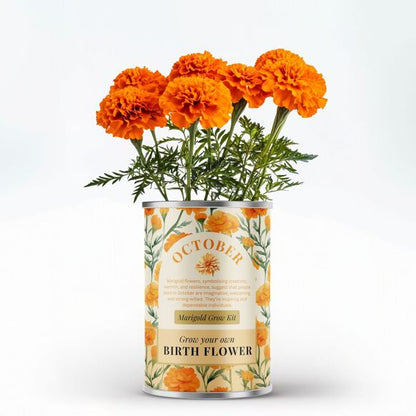 October Birth Flower - Grow Your Own Flower Gift