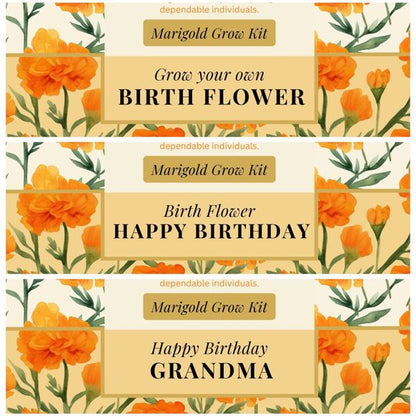 October Birth Flower - Grow Your Own Flower Gift