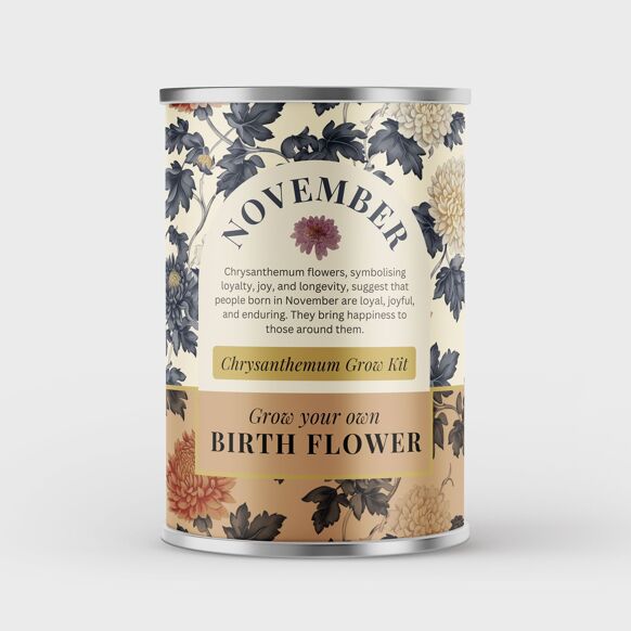 November Birth Flower - Grow Your Own Flower Gift