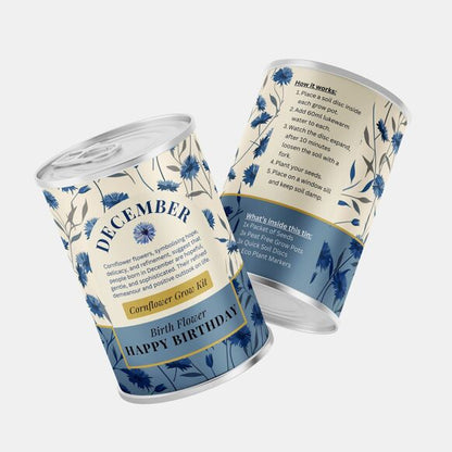 December Birth Flower - Grow Your Own Flower Gift