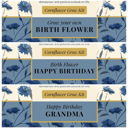 December Birth Flower - Grow Your Own Flower Gift