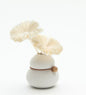 Garbo Creme Diffuser