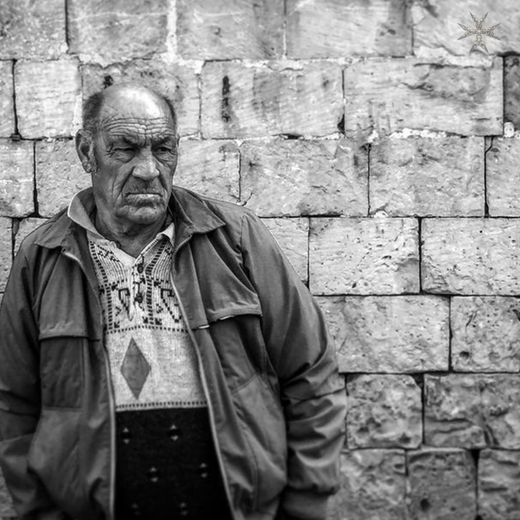 Maltese Old Man (Black & White) Coaster