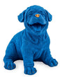 Royal Blue with Gold Details Laughing Puppy
