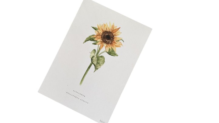 Karti Prints (Natura)