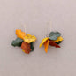 Hoop Earrings Resin Leaves: Combinado Verde