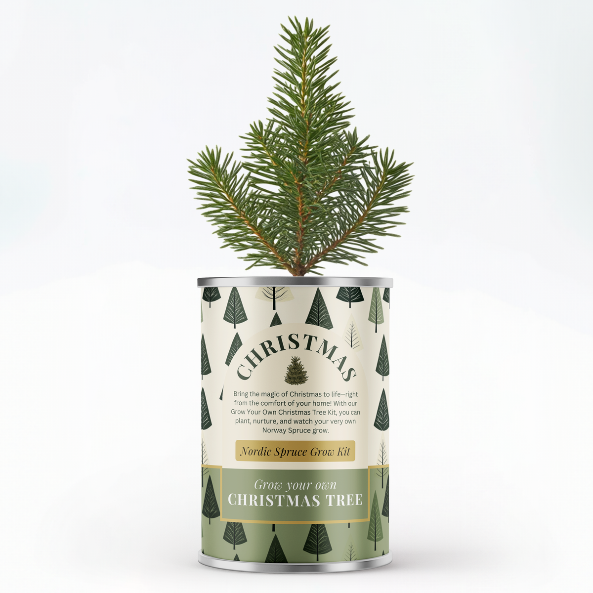 Nordic Spruce Xmas Tree Grow Kit – Merry Christmas