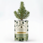 Nordic Spruce Xmas Tree Grow Kit – Merry Christmas