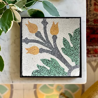 Tulipan Naghniegh (Valletta)