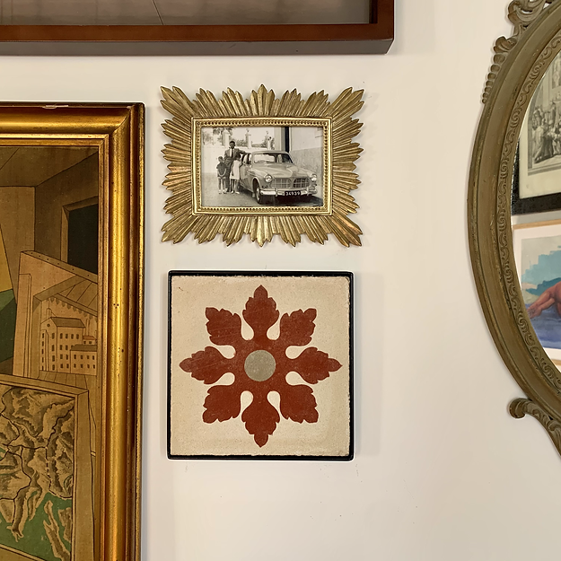 Orkida Hamra Haz-Zabbar