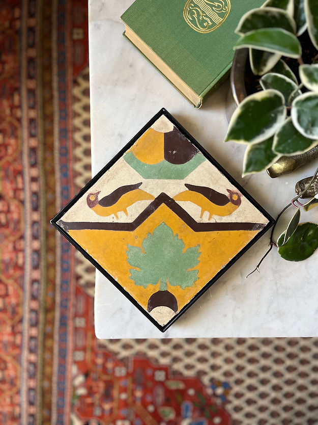 PAPRA POLVERISTA (BORMLA)