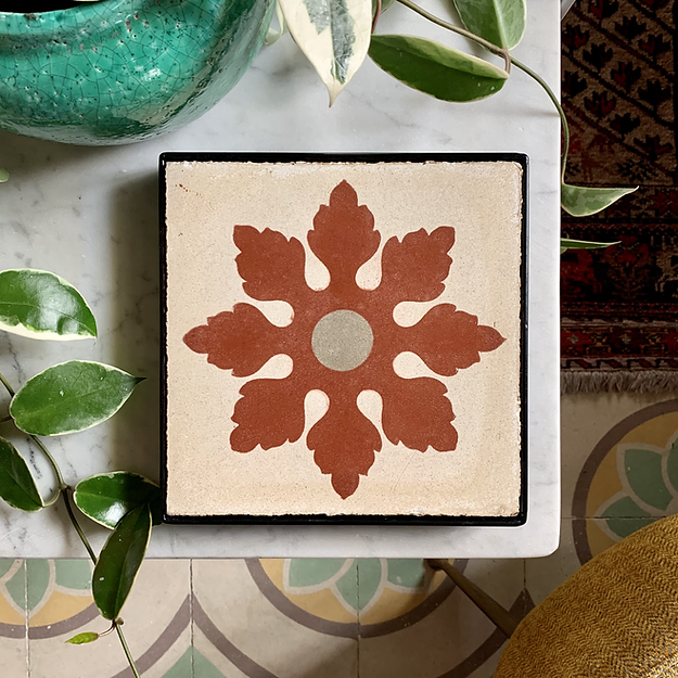 Orkida Hamra Haz-Zabbar