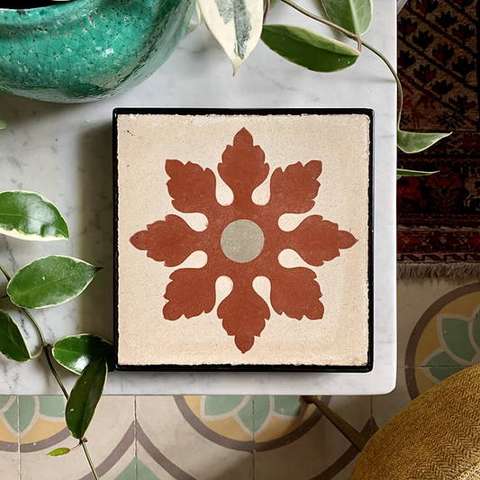 Orkida Hamra Haz-Zabbar