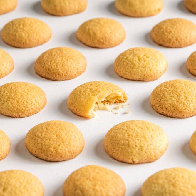 Coconut Rings - Douro Range