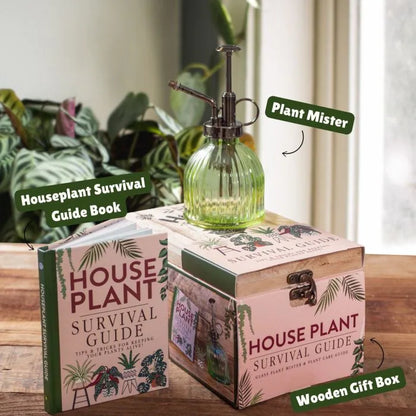 Houseplant Survival Set
