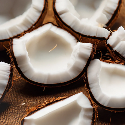 Honeybalm Coconut Lip Balm