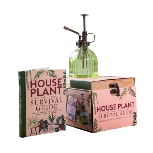 Houseplant Survival Set